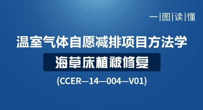 一图读懂 | 温室气体自愿减排项目方法学 海草床植被修复